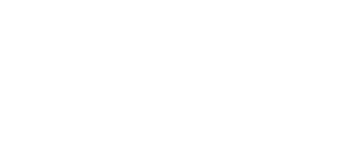 Clinton NY Logo in White