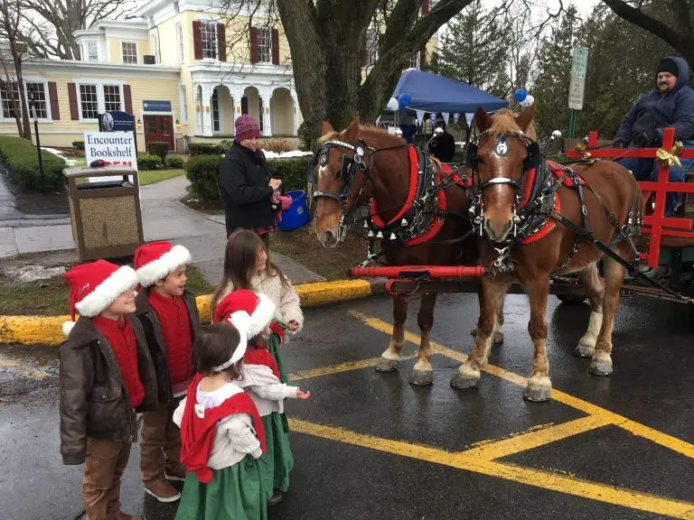 Shoppers&rsquo; Stroll & Holiday Parade