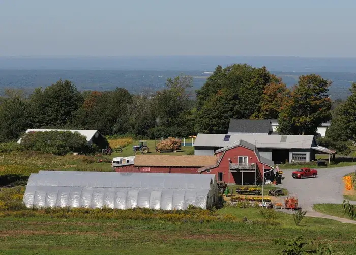 Savicki's Farm Market Storefront