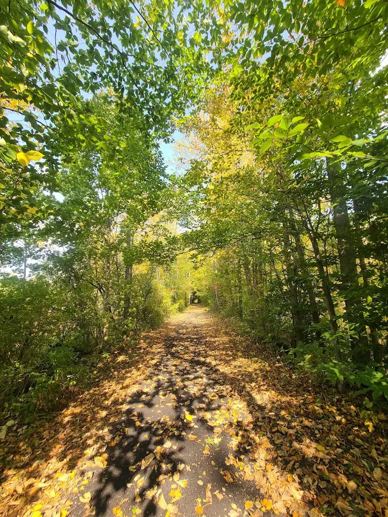 Kirkland trails in the fall